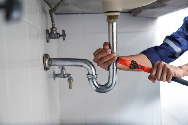 Best Drain Cleaning Services  in Pinckneyvle, IL